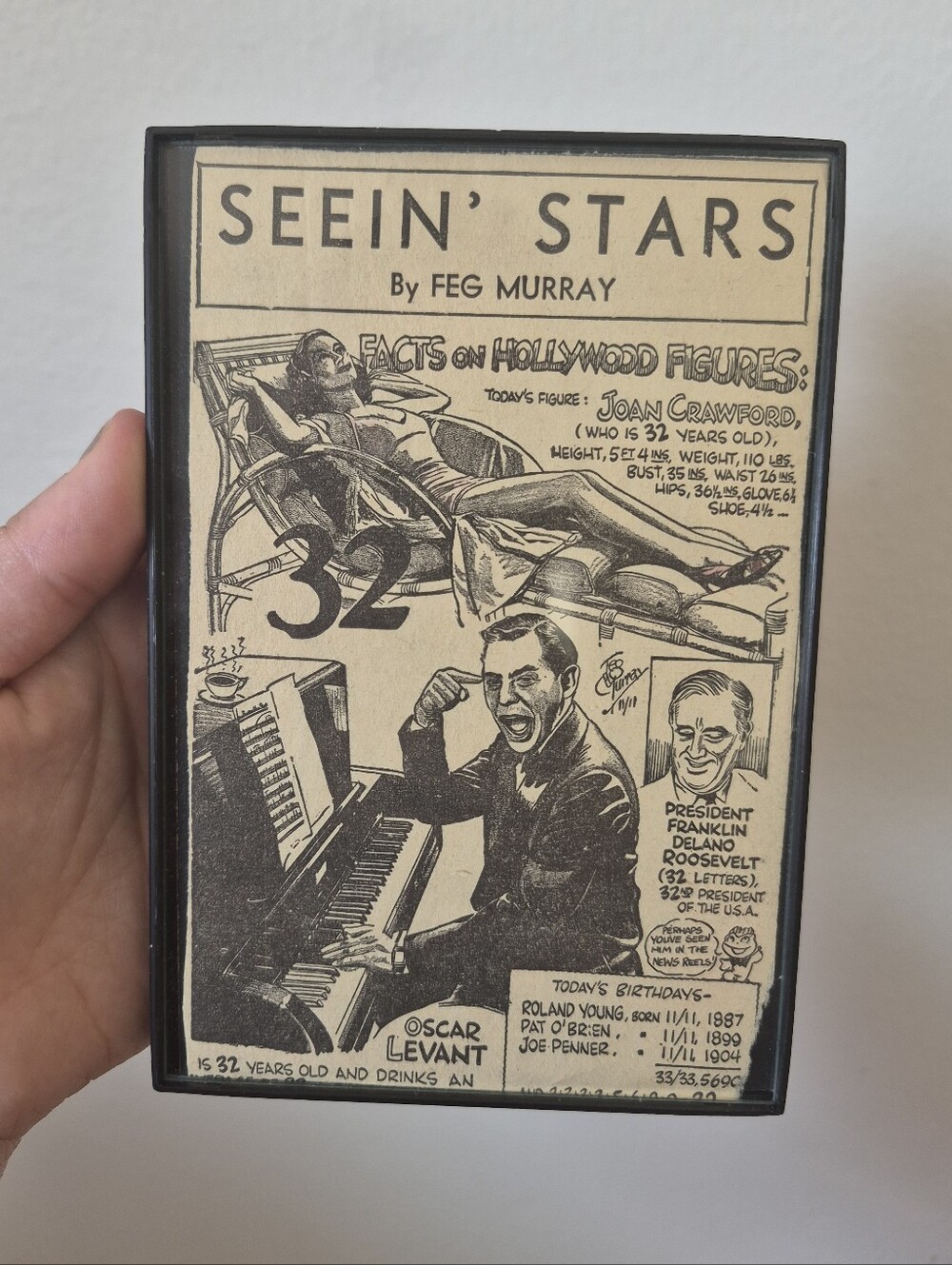 Seein' Stars Framed Clippings - Picture 3 of 9